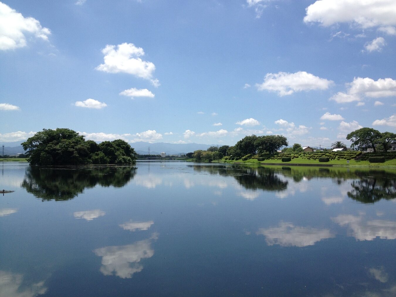 熊本・江津湖に湧き出す伏流水の風景