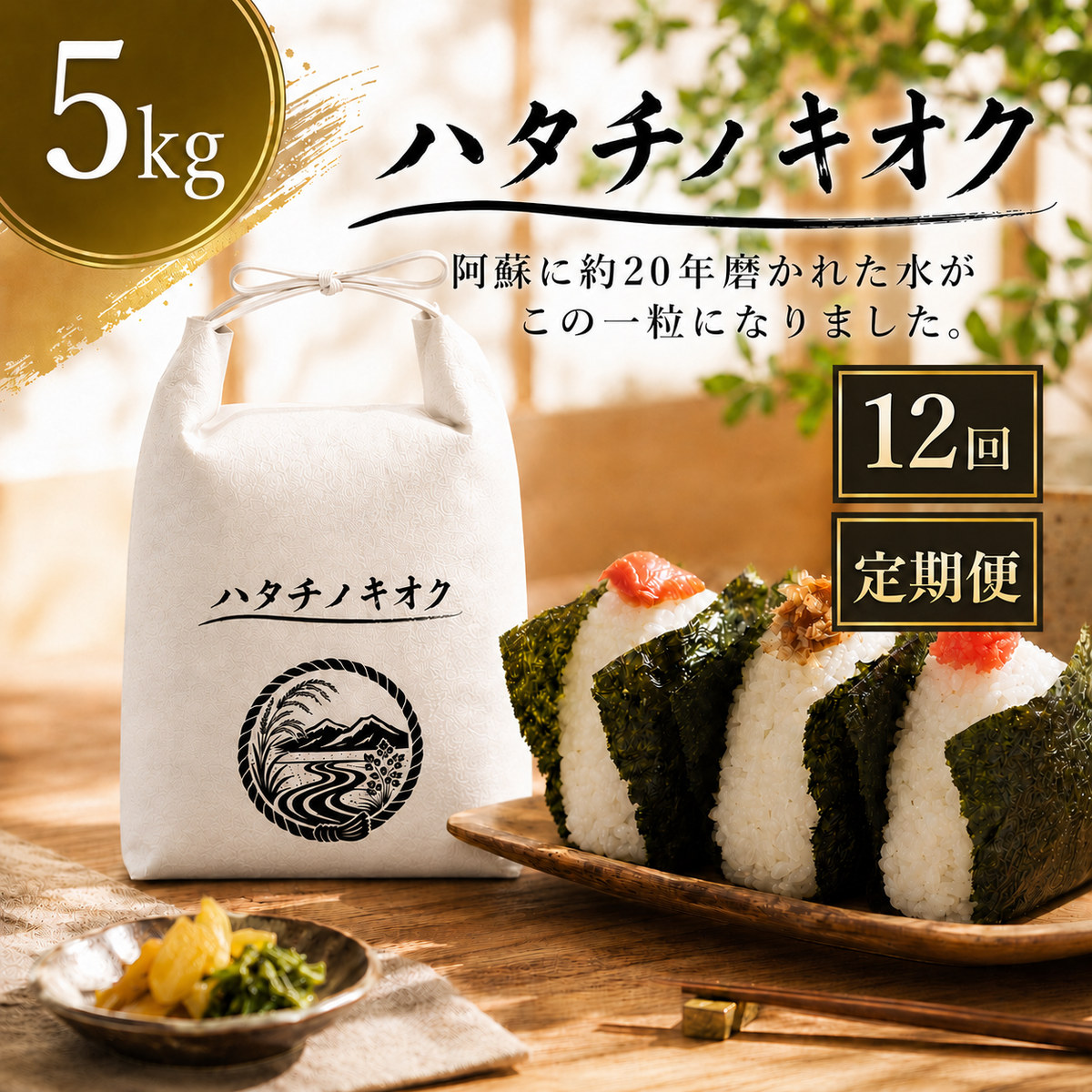 ハタチノキオク 5kg 12回定期便のふるさと納税返礼品