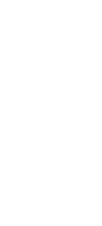 出田米 IDETA RICE